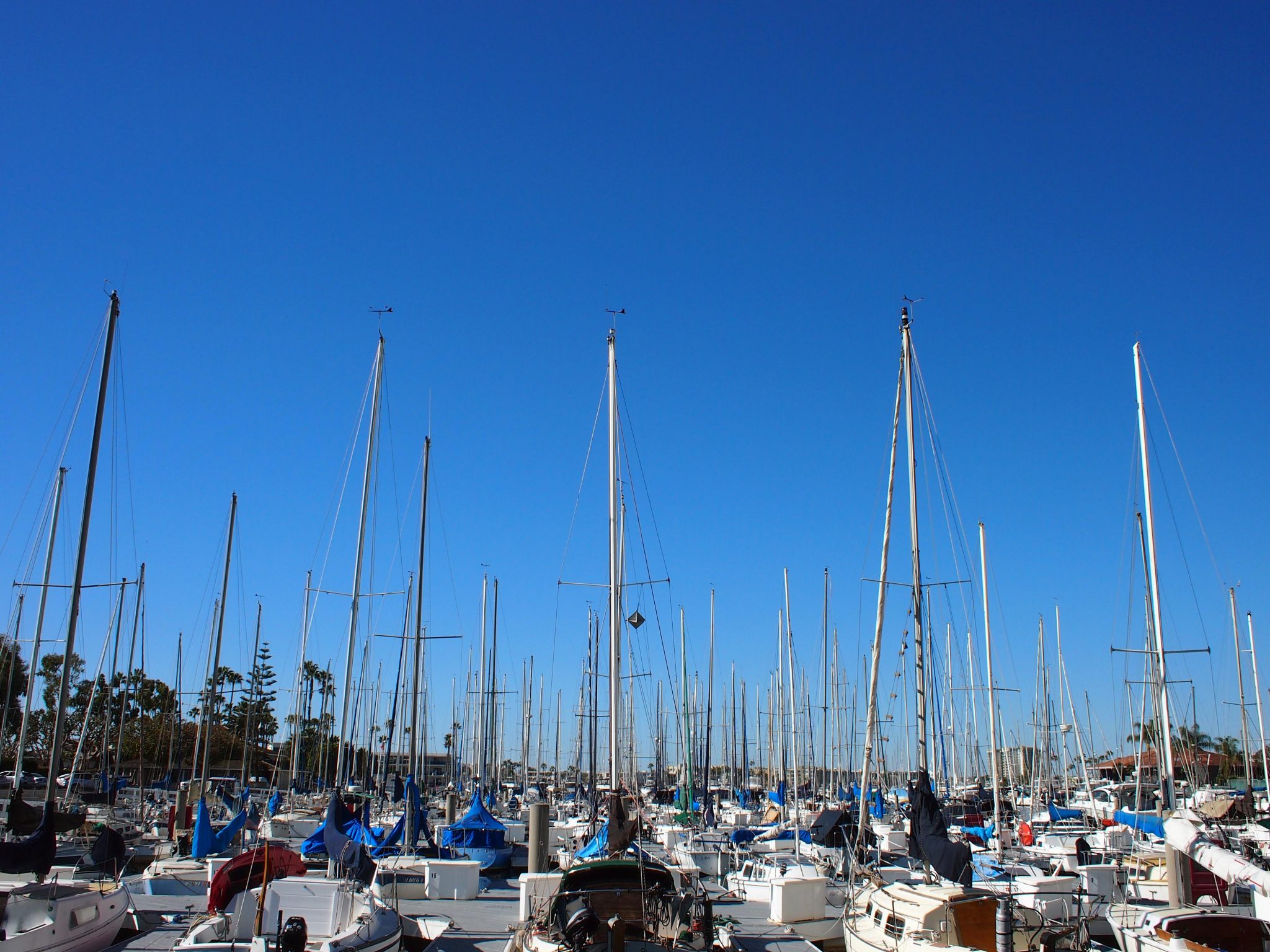 The yachts at Marina Del Rey.