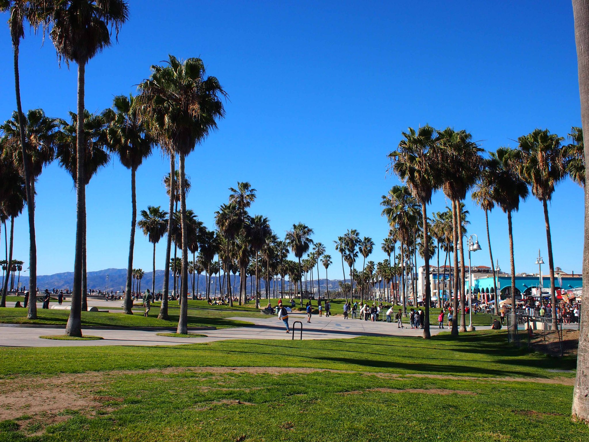 The skate parks and palm trees of Venice Beach.